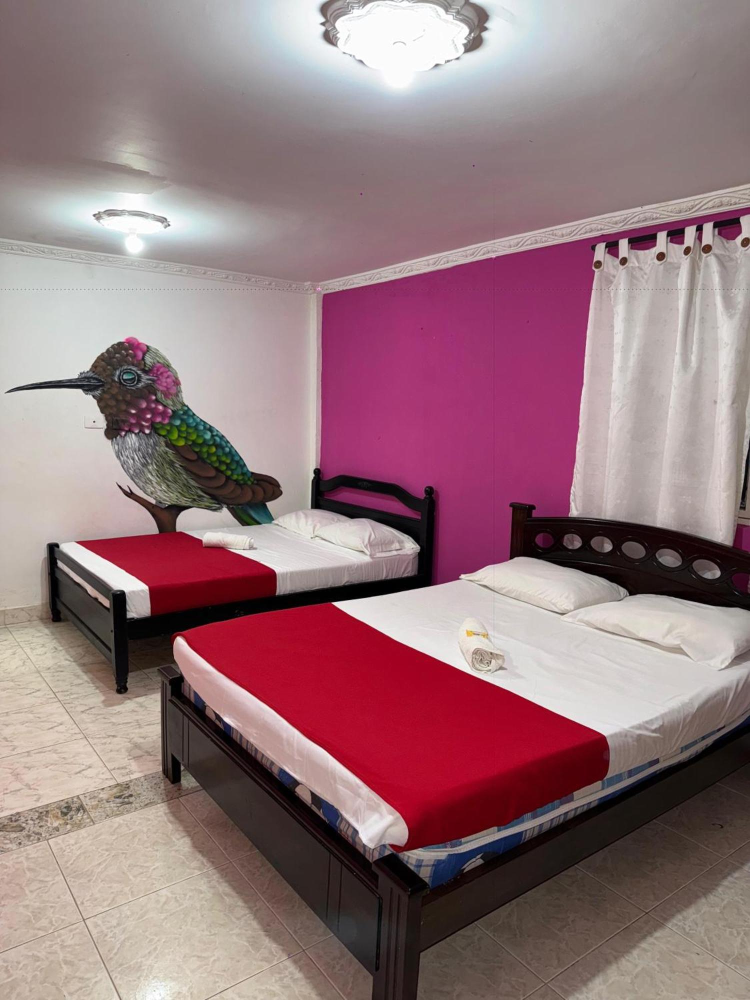 Ecohotel Colibri Salento Luna Park Exterior photo